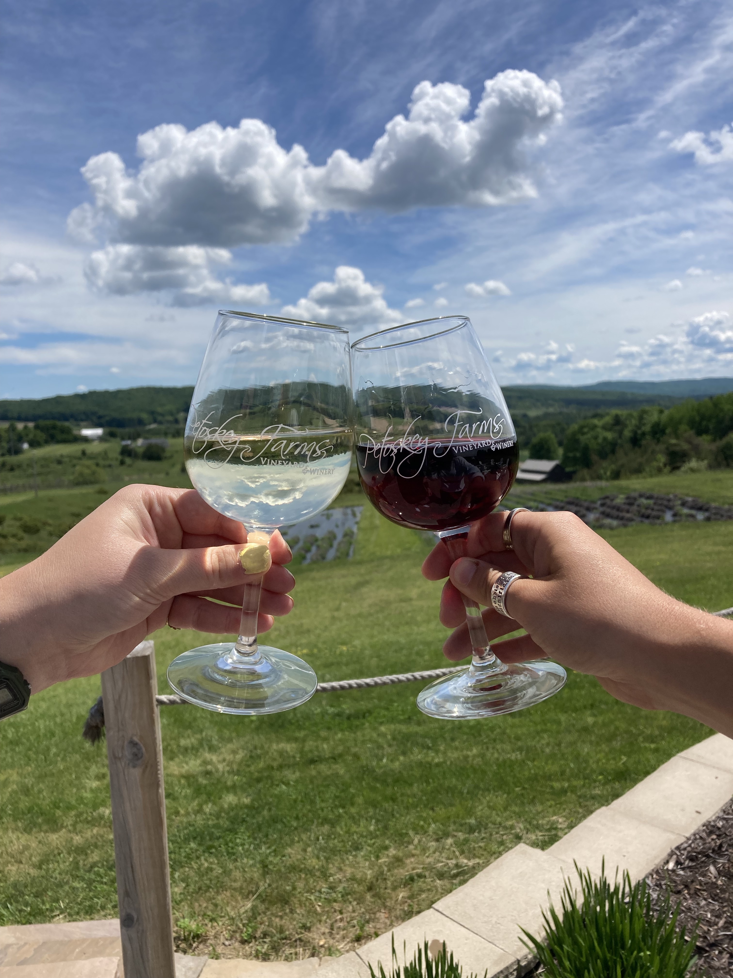 Two glasses of wine being held up in front of the scenic landscape.