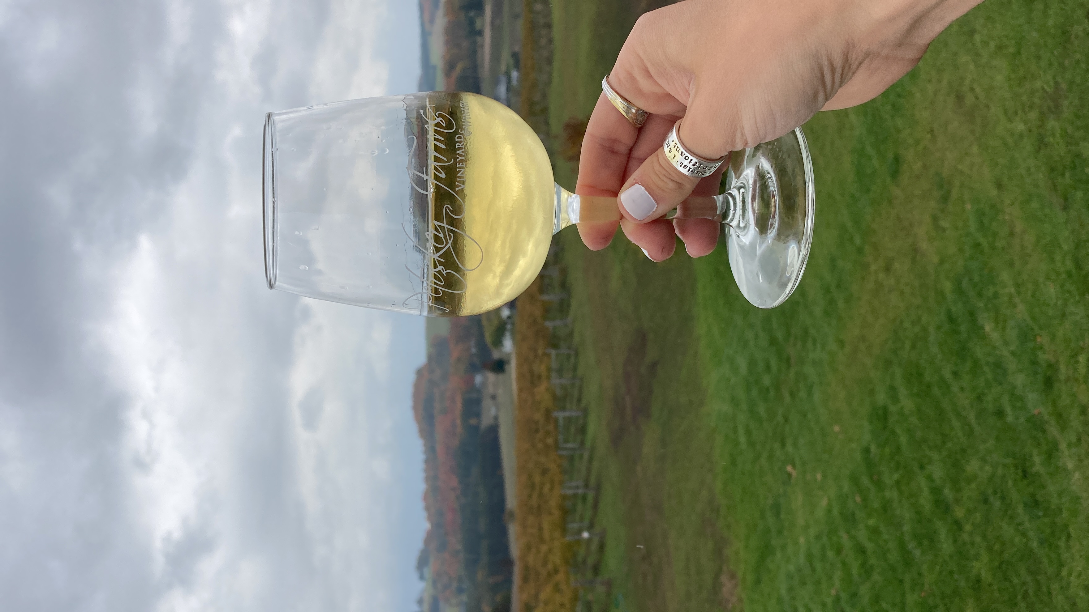 A glass of wine with the vineyard in the background.
